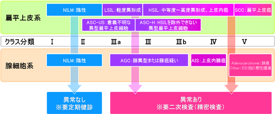 子 宮頸 が ん 検査 結果 見方